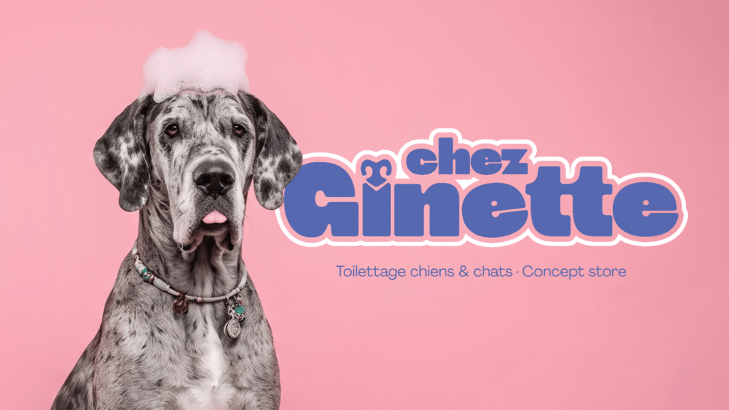 chez ginette identite de marque